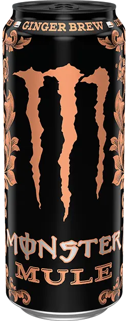 MONSTER ENERGY
