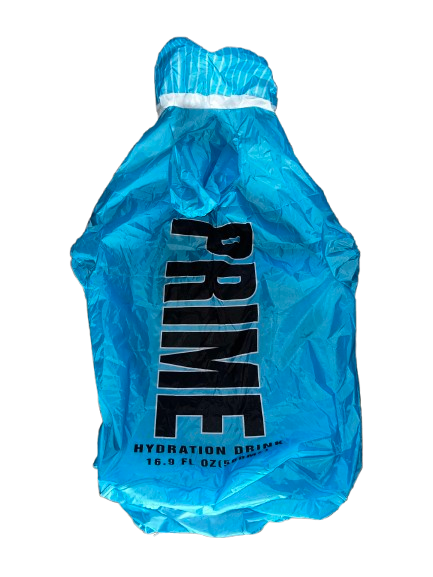 BLUE RASPBERRY HALLOWEEN COSTUME