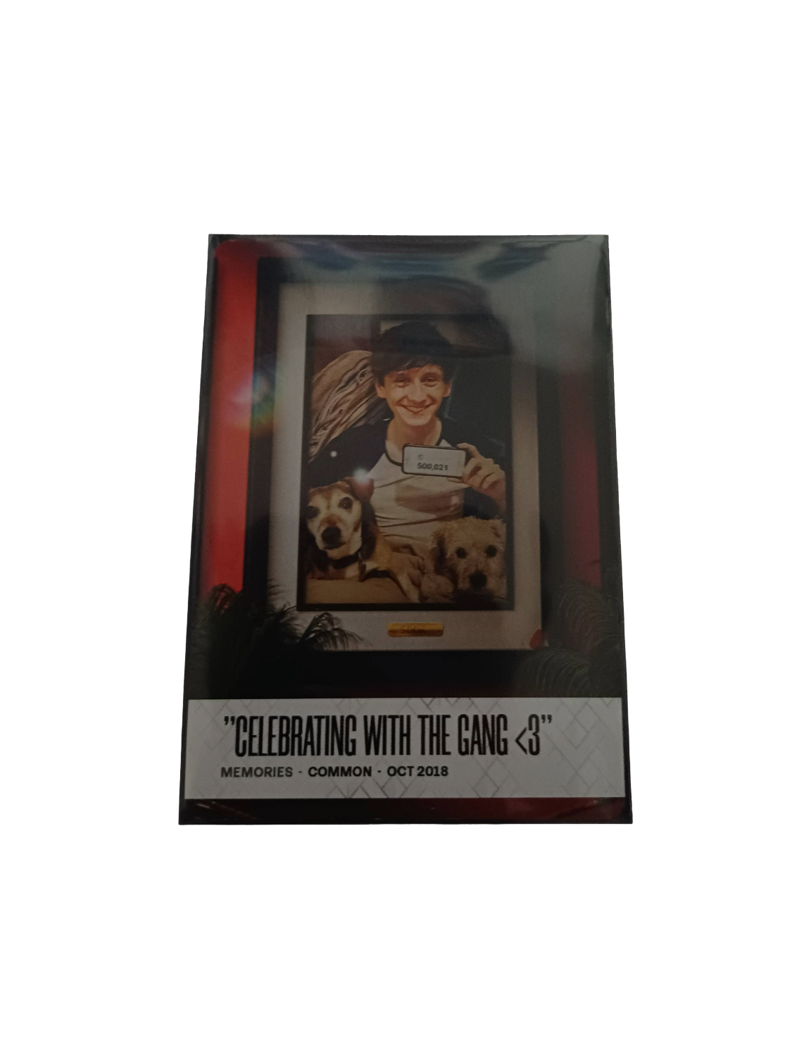 "Celebrating With The Gang <3"