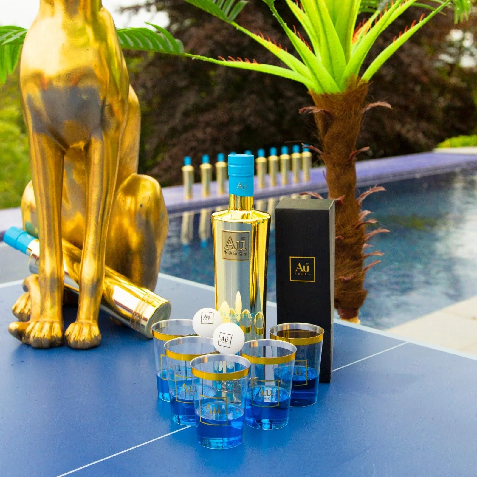 Au Vodka Pong Game Set