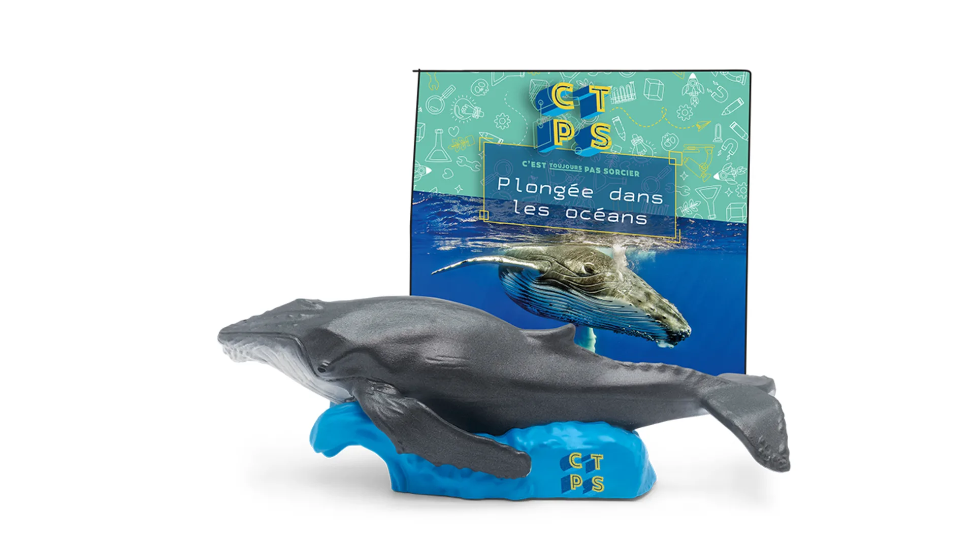 Plongée Dans Les Océans