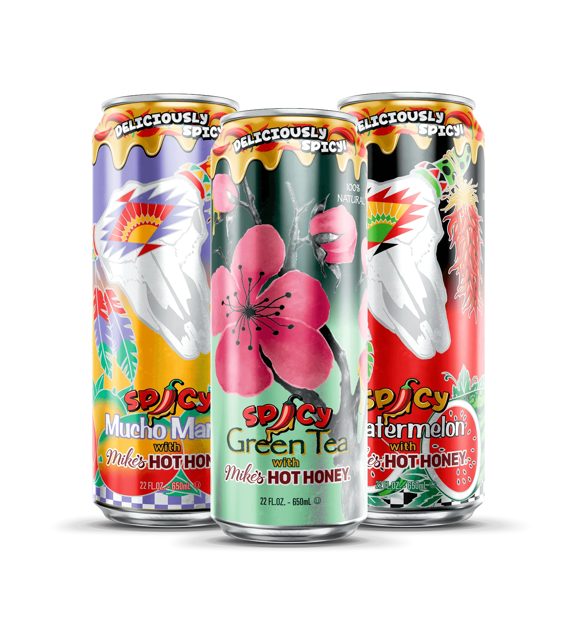 Spicy 12-Count Tea & Juice Cocktail Variety Pack | 22 oz. Big Can / 12-pack product image