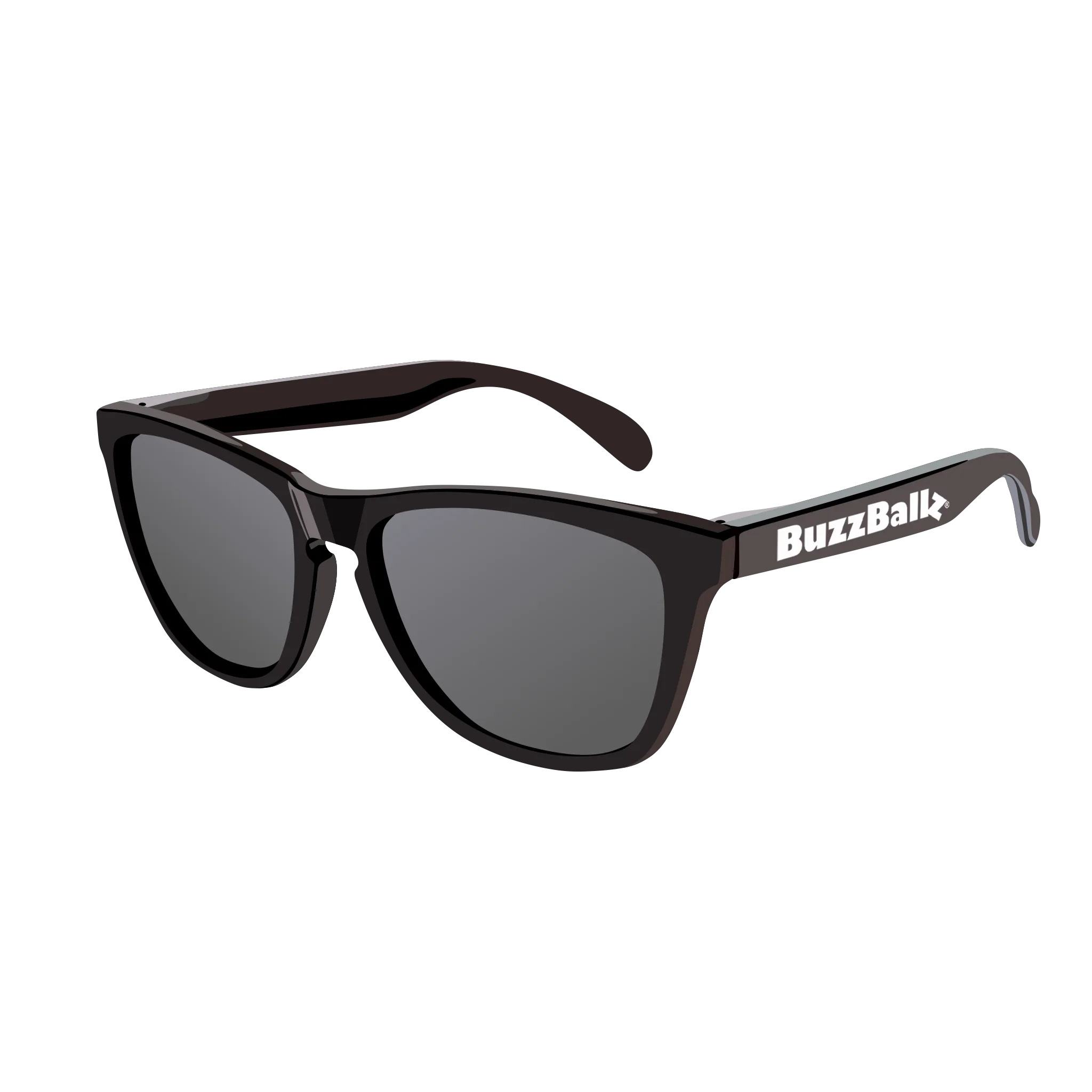 Sunglasses (Points 10,000) image