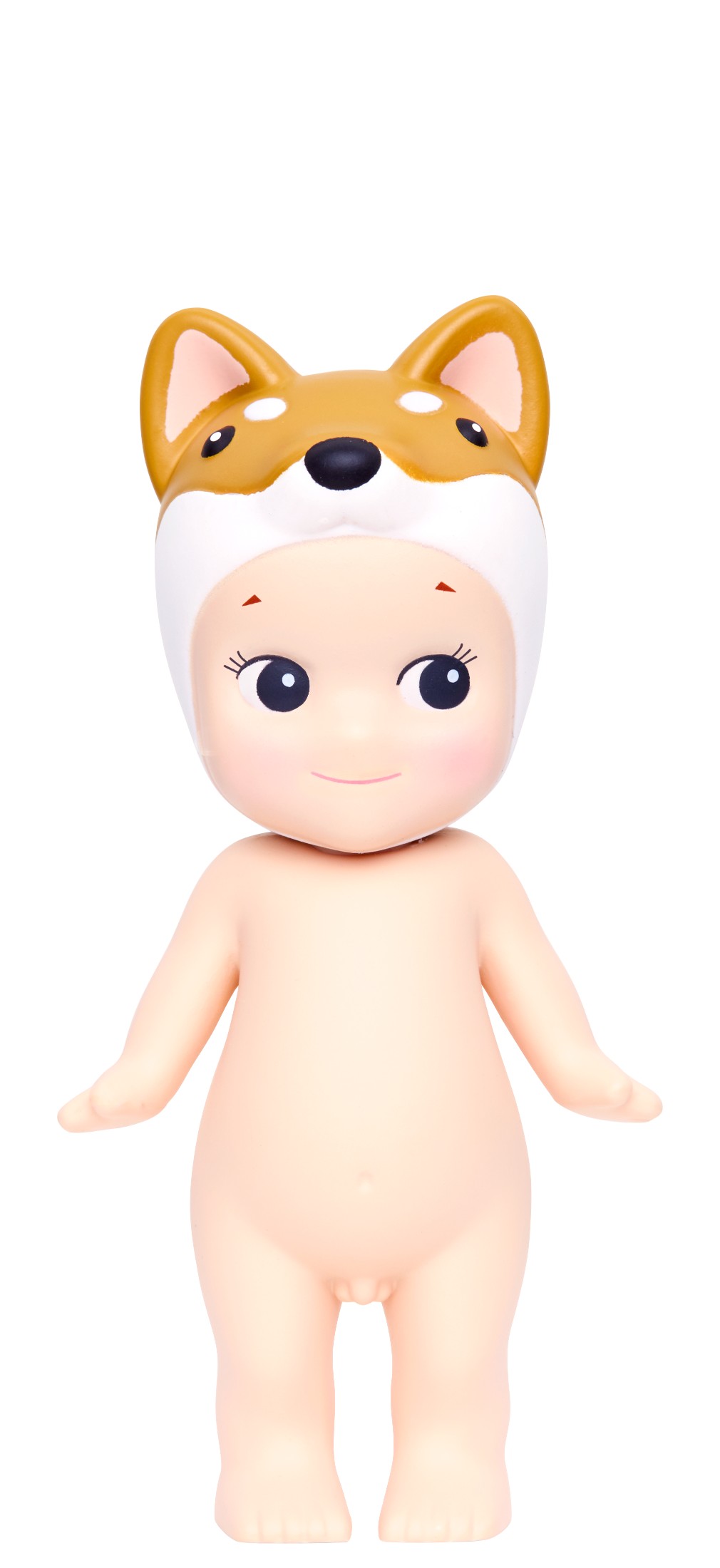 Shiba Inu product image