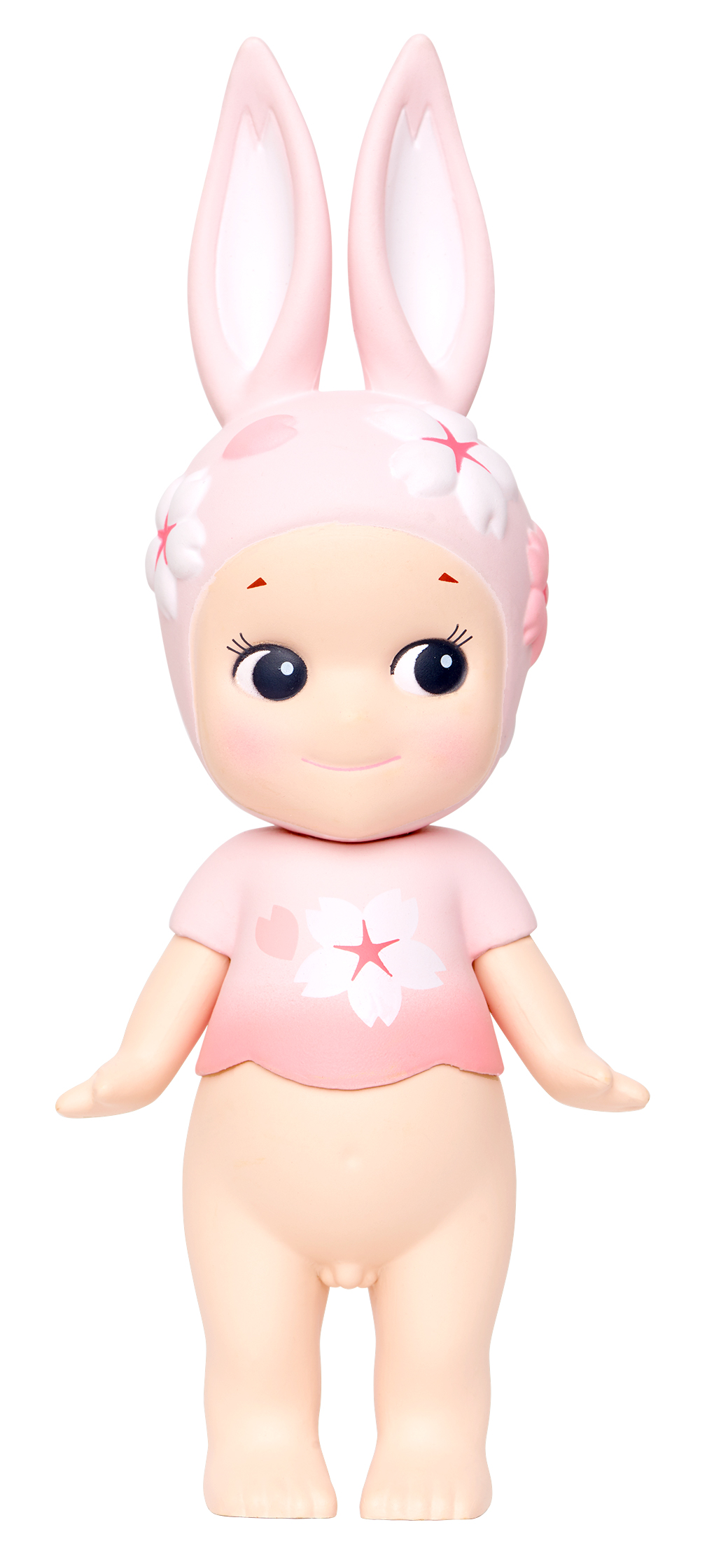 Rabbit product image
