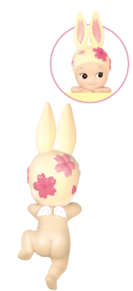 Rabbit product image