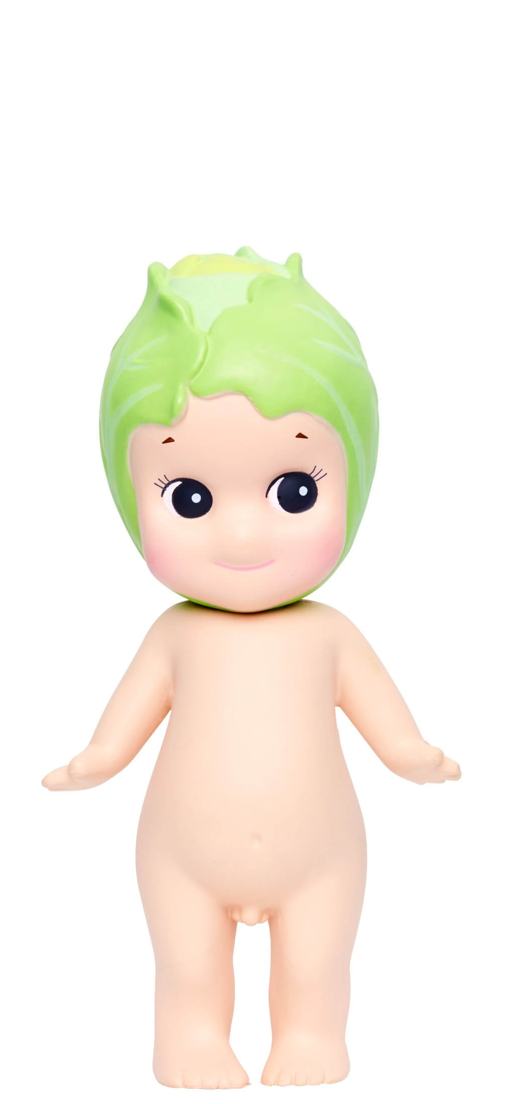 Cabbage