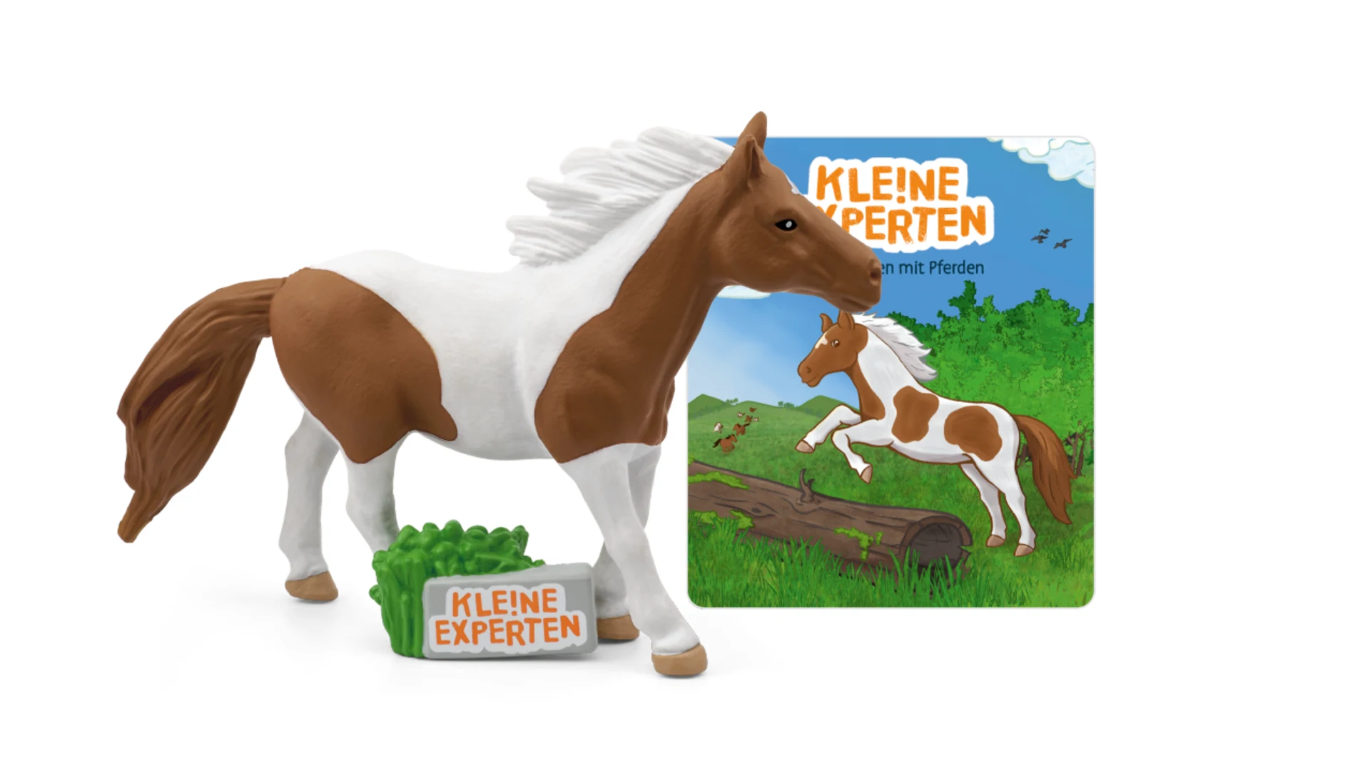 KLE!NE EXPERTEN - Galoppieren mit Pferden I