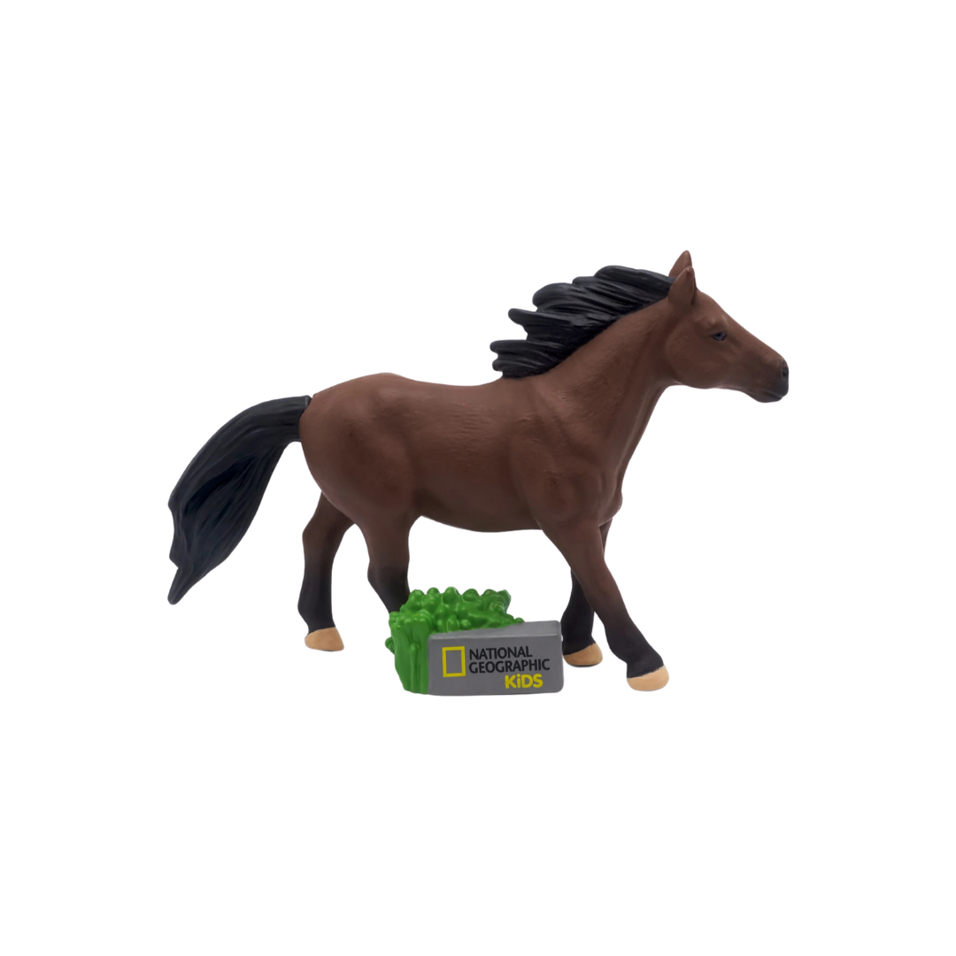 National Geographic Kids - Horse product image